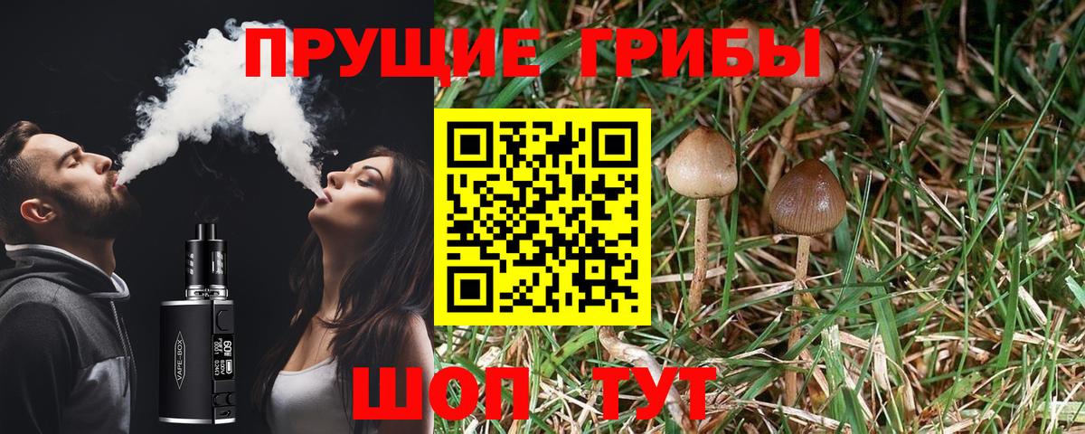 Губкинский  Псилоцибиновые грибы GOLDEN TEACHER  Галлюциногенные грибы прущие грибы  купить закладку  Вход с VPN 
