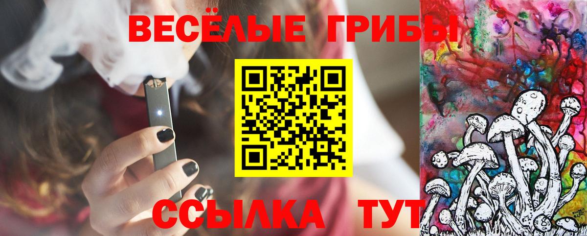Галлюциногенные грибы Psilocybine cubensis Губкинский